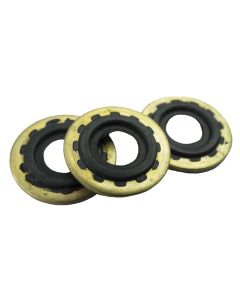 O-Ring and Brass Washer Set