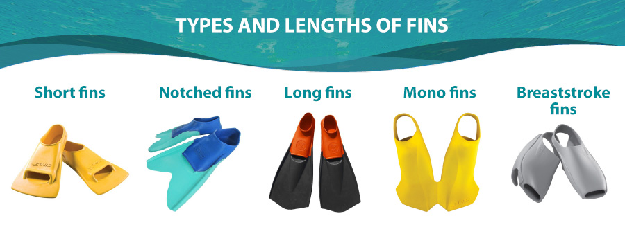 How to Choose Swim Fins - Blog - Kiefer Aquatics